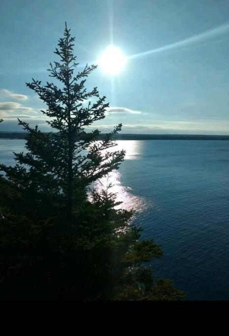 Family Friendly Cottage ☆Walking Distance To Beach ليونز هيد المظهر الخارجي الصورة